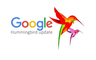 Google Hummingbird Update: Hummingbird Importance & Effects on SEO